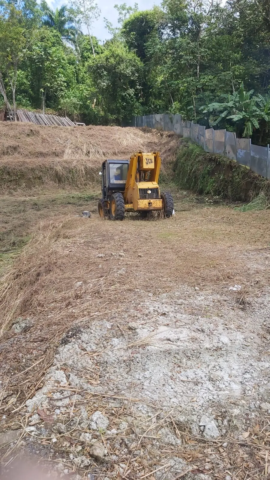 Minicargador en el terreno recién desmontado